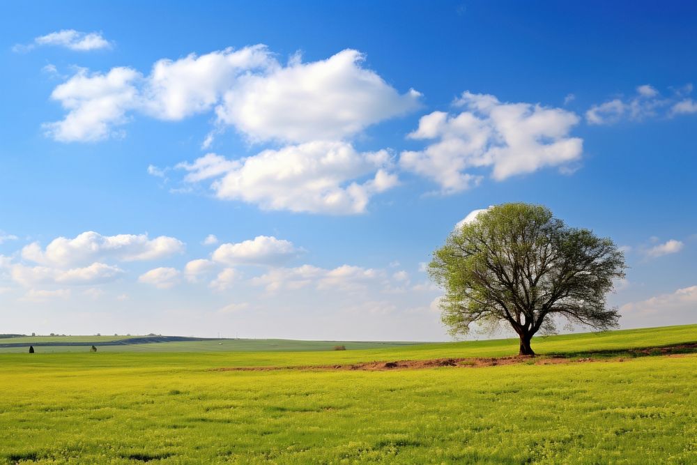 Nature landscape nature outdoors horizon. | Premium Photo - rawpixel