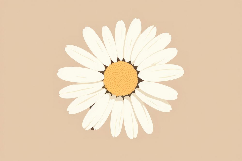 Daisy flower petal plant. AI generated Image by rawpixel.