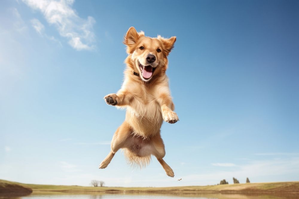 Dog jumping mammal animal pet. AI generated Image by rawpixel.