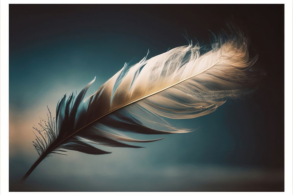 Feather art lightweight accessories. AI generated Image by rawpixel.
