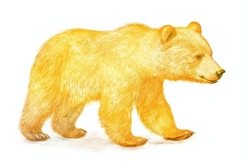 Baby bear wildlife drawing mammal. AI generated Image by rawpixel.