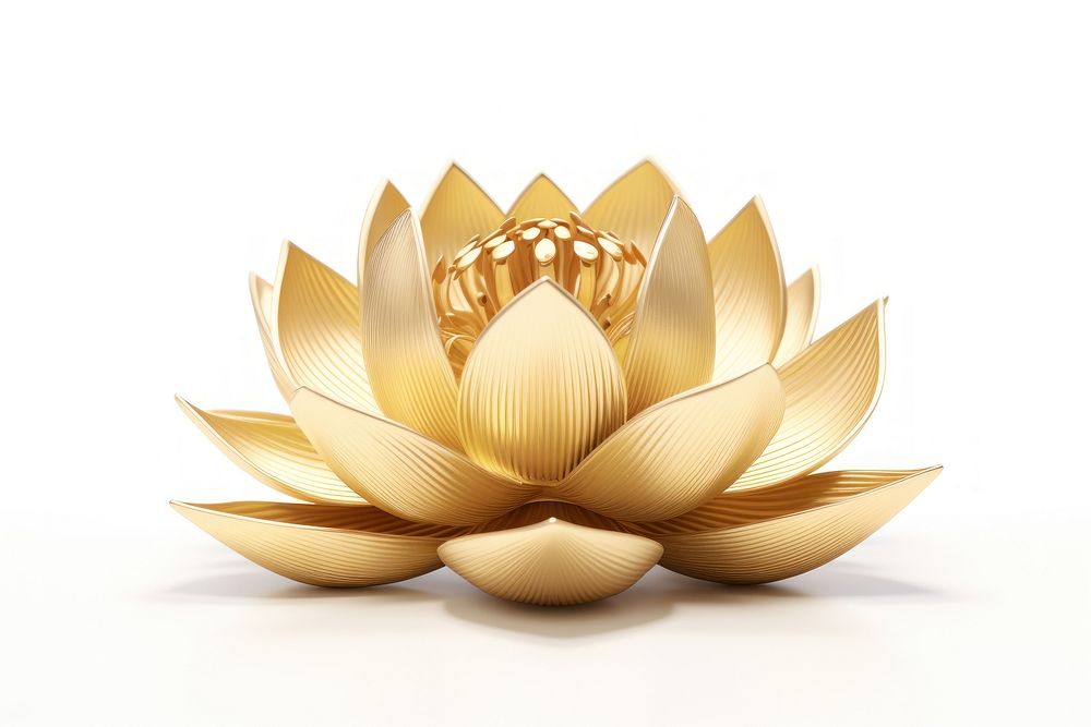 Lotus flower gold plant white background. AI generated Image by rawpixel.