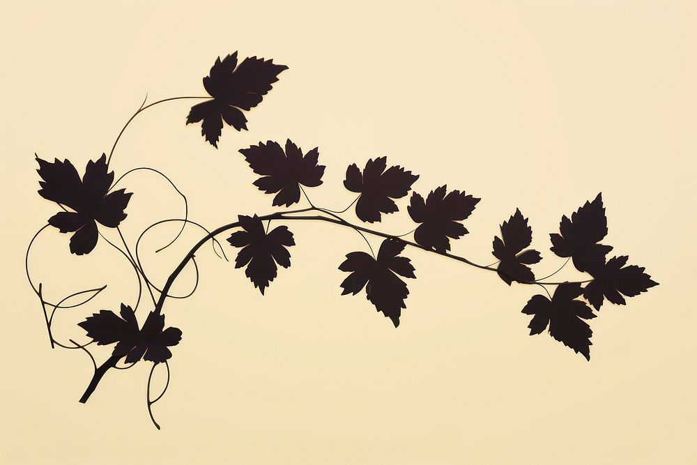 Vine silhouette plant leaf branch. AI generated Image by rawpixel.