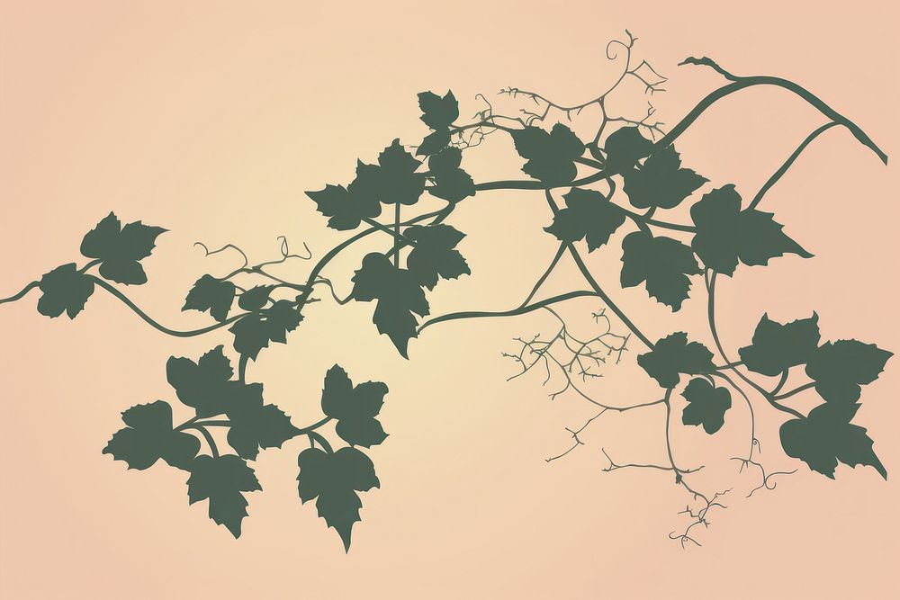 Vine silhouette plant leaf tree. AI generated Image by rawpixel.