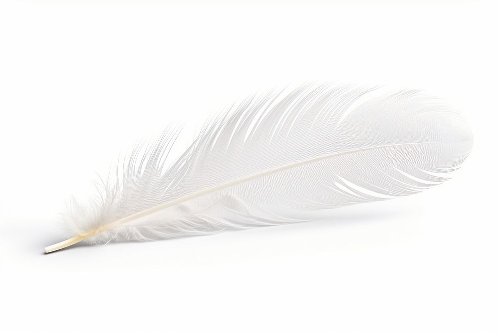 White feather white background lightweight accessories. AI generated Image by rawpixel.