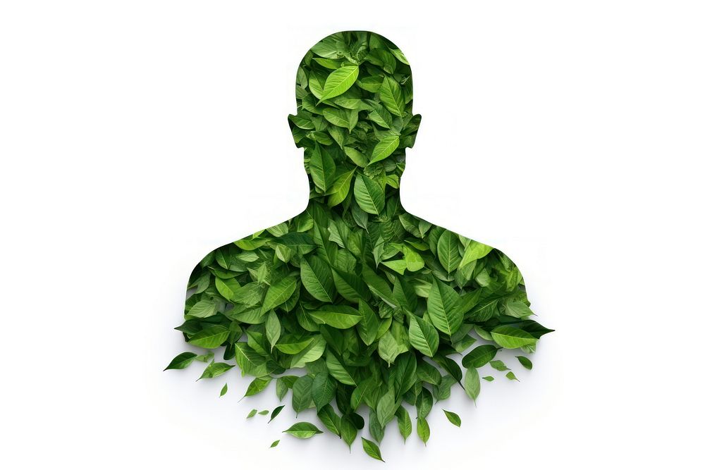 Green leaf covered a human icon plant herbs white background. AI generated Image by rawpixel.