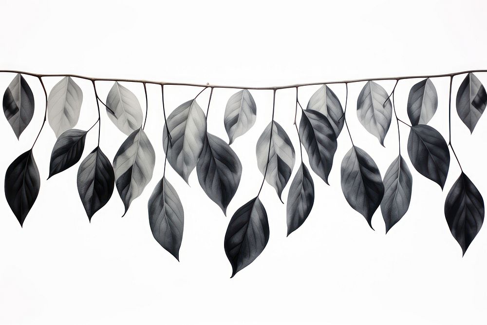 Black leaves hanging plant leaf. AI generated Image by rawpixel.