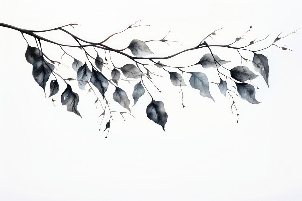 Black leaves nature drawing sketch. AI generated Image by rawpixel.