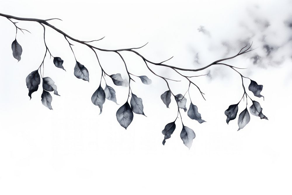 Black leaves hanging nature plant. AI generated Image by rawpixel.