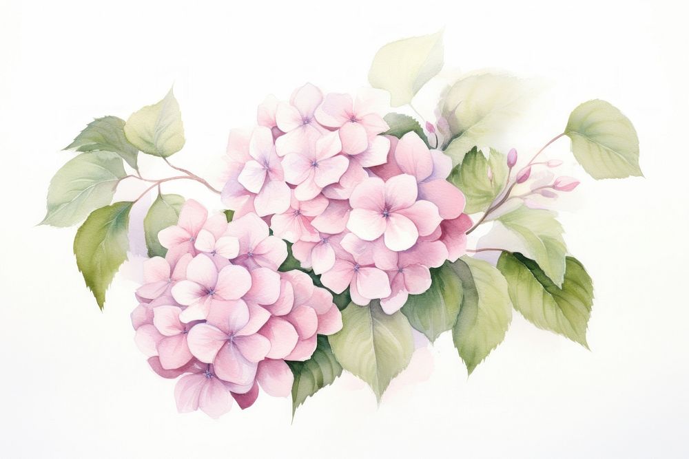 Hydrangea pattern flower nature. AI generated Image by rawpixel.