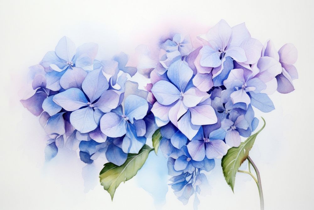 Hydrangea pattern flower nature. AI generated Image by rawpixel.