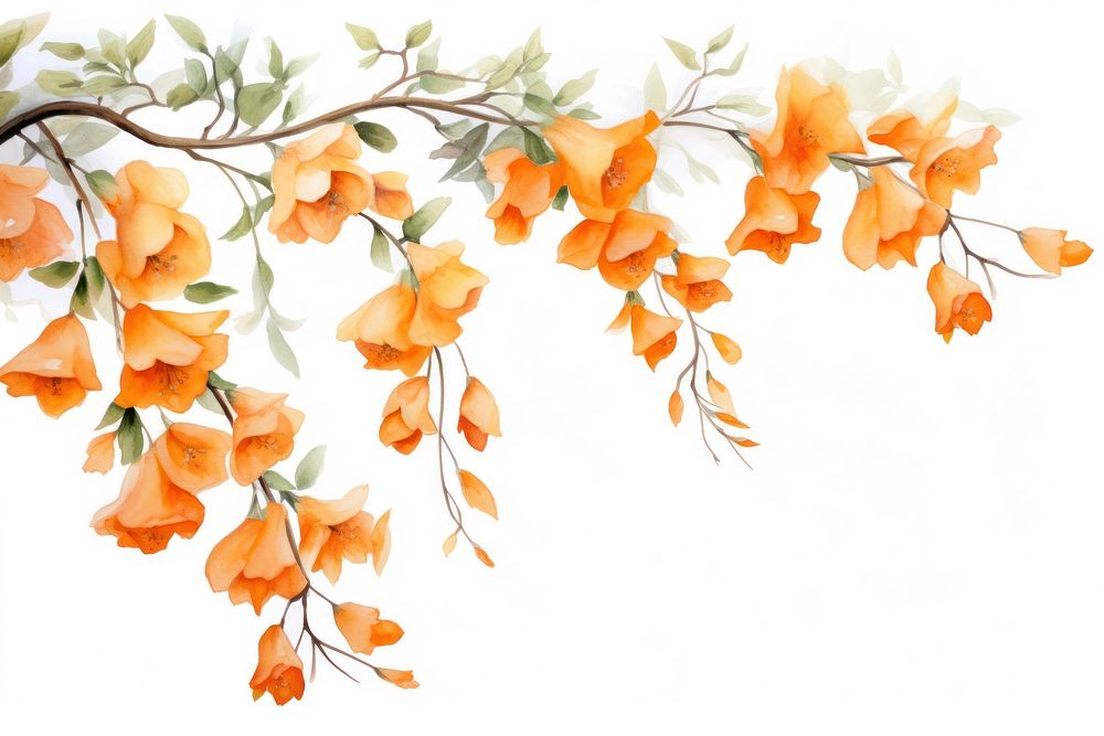 Orange flowers nature plant freshness. AI generated Image by rawpixel.