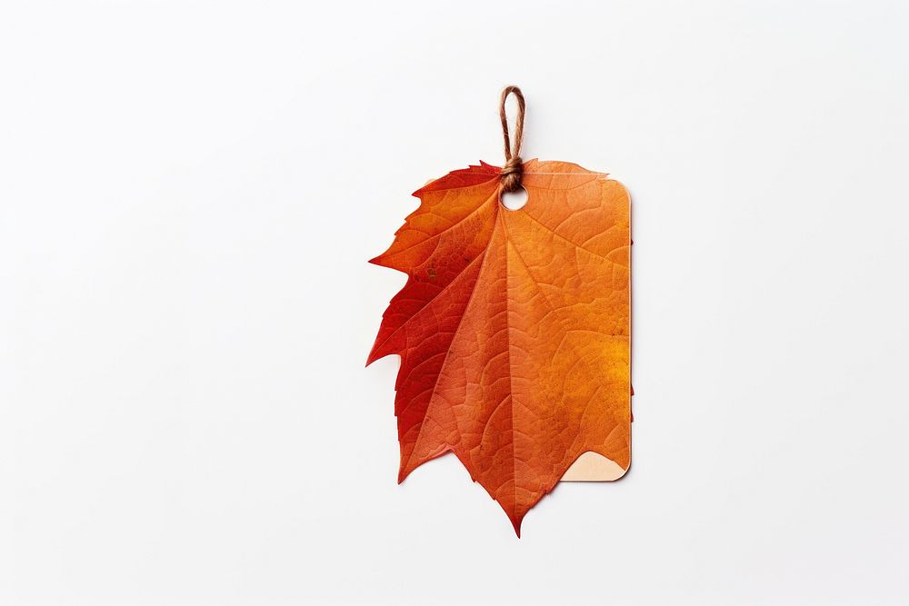 Price tag paper label autumn leaf shape maple plant tree. AI generated Image by rawpixel.