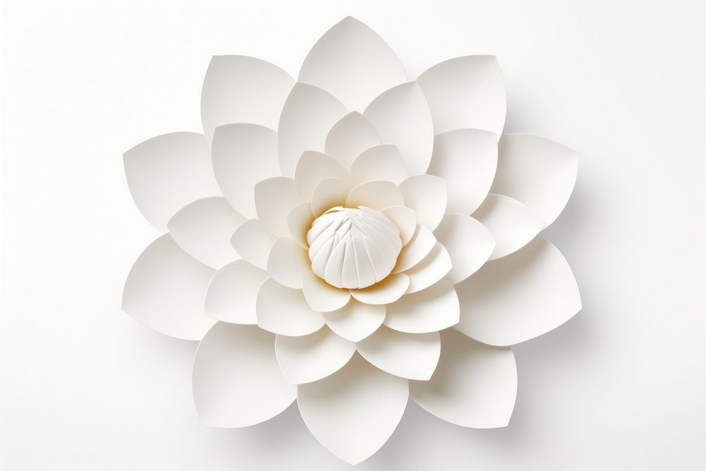 Price tag paper label lotus flower shape petal white white background. AI generated Image by rawpixel.