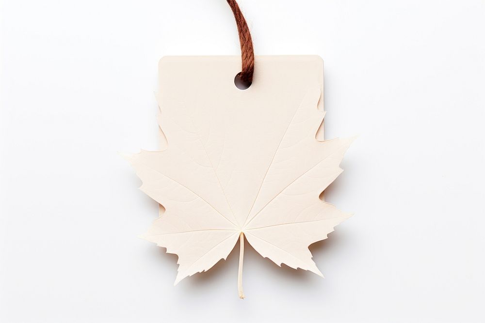 Price tag paper label maple shape plant leaf tree. AI generated Image by rawpixel.