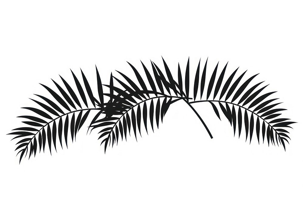 Palm leaves drawing sketch plant. AI generated Image by rawpixel.