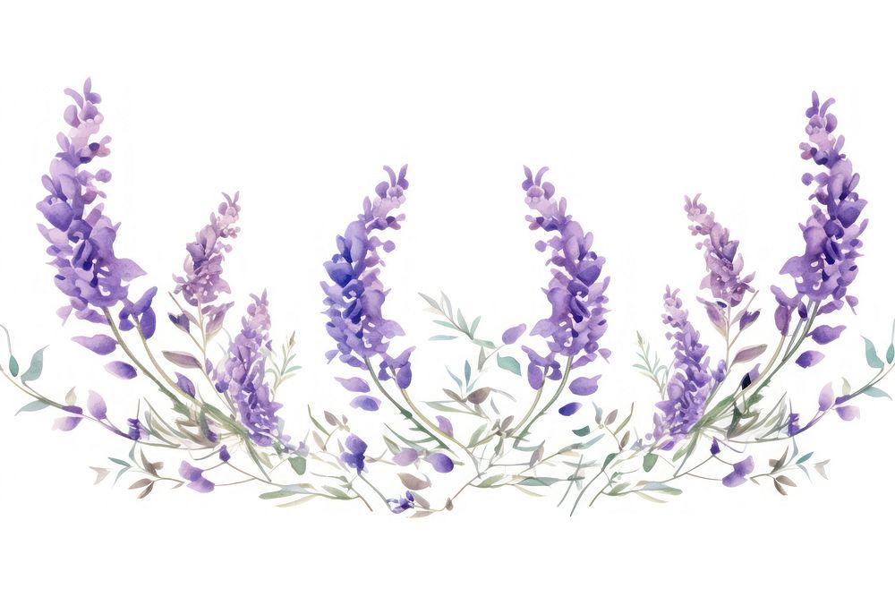Lavender flowers blossom purple plant. AI generated Image by rawpixel.