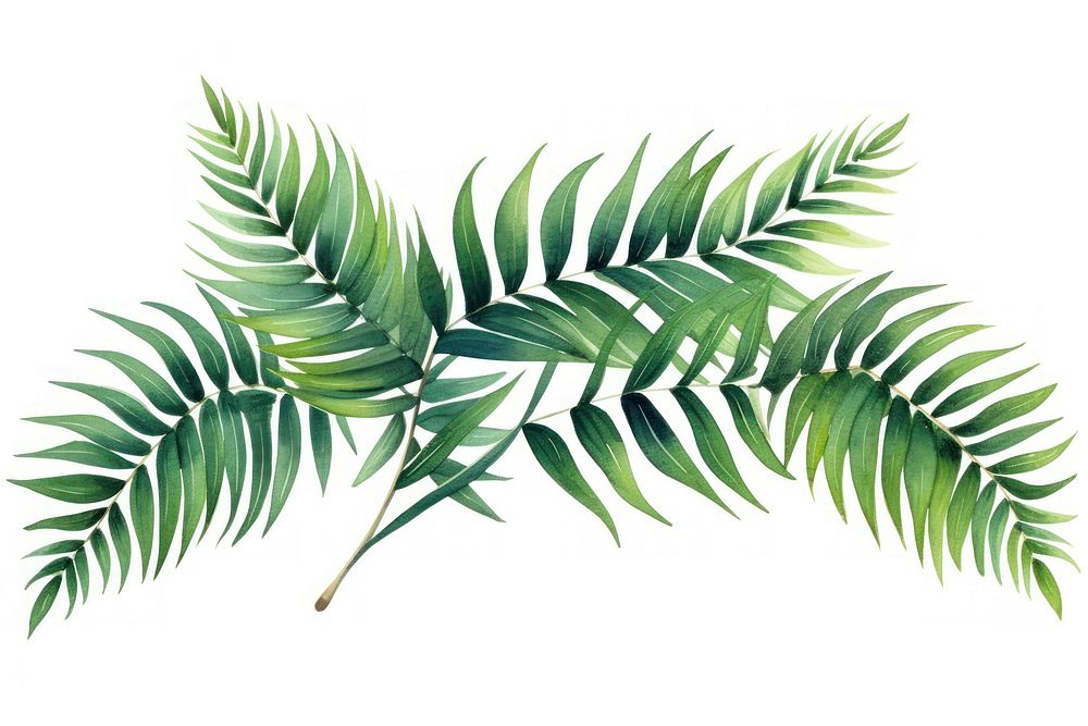 Palm leaves plant leaf fern. AI generated Image by rawpixel.