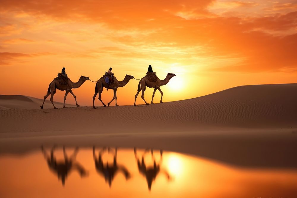 Camels silhouettes in sand dunes camel outdoors nature. AI generated Image by rawpixel.