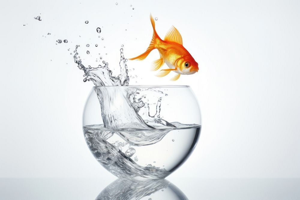 Goldfish in a glass bowl goldfish splashing animal. AI generated Image by rawpixel.