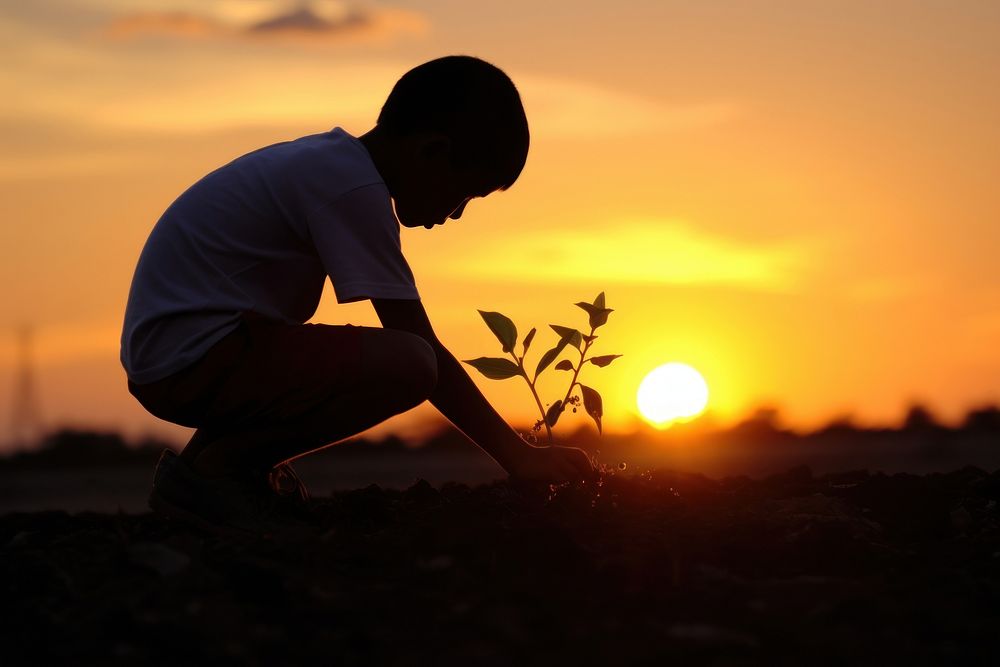 Boy growing a plant backlighting silhouette outdoors. 