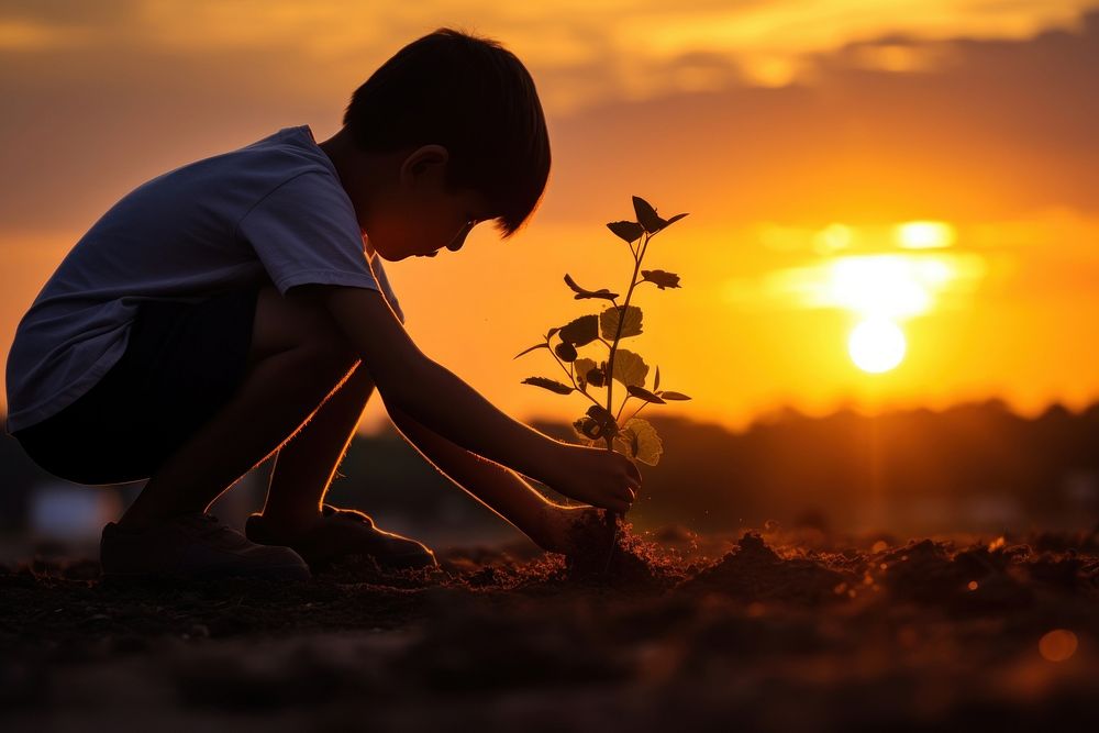 Boy growing a plant backlighting silhouette outdoors. AI generated Image by rawpixel.