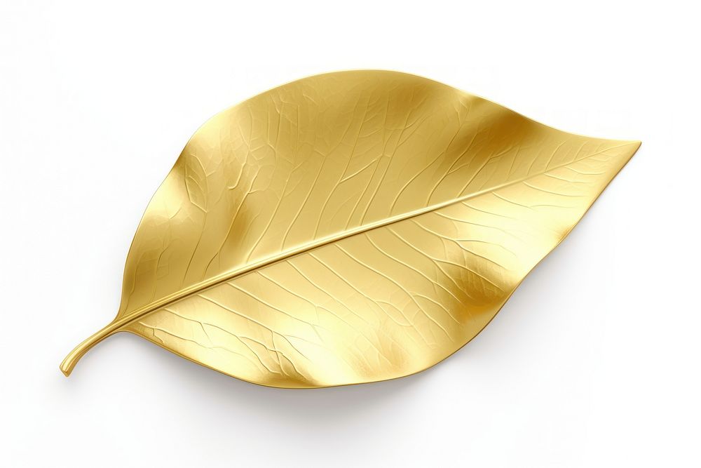 A leaf plant gold white background. AI generated Image by rawpixel.