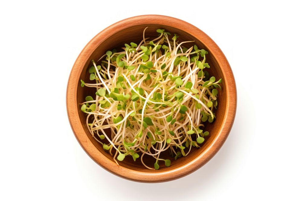 Bean sprout in a wooden bowl vegetable plant food. AI generated Image by rawpixel.