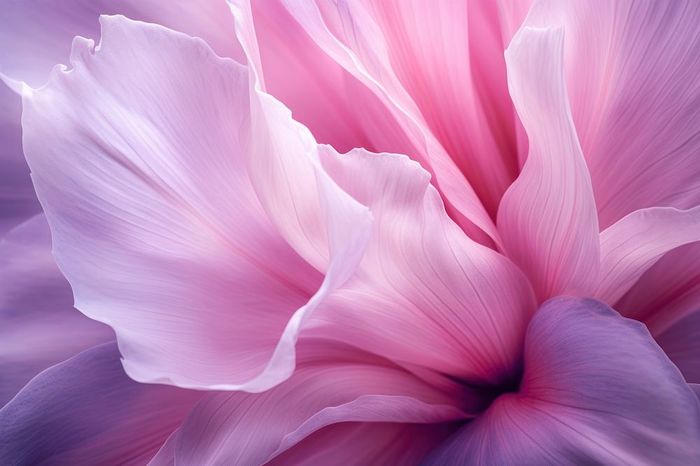 Tulip flower backgrounds petal. AI generated Image by rawpixel.