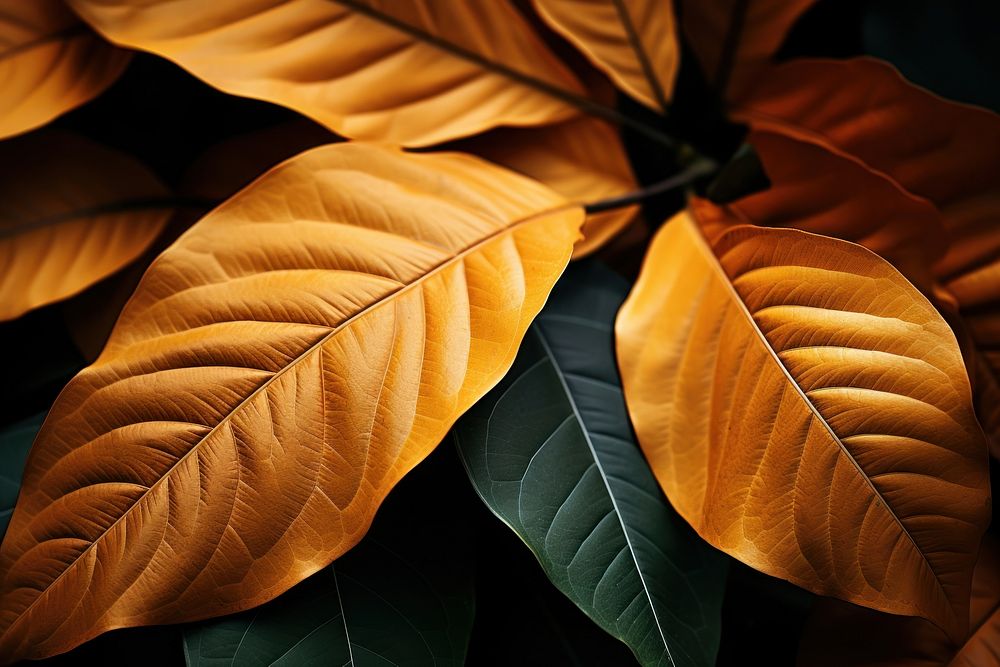 Leaves plant leaf backgrounds. AI generated Image by rawpixel.