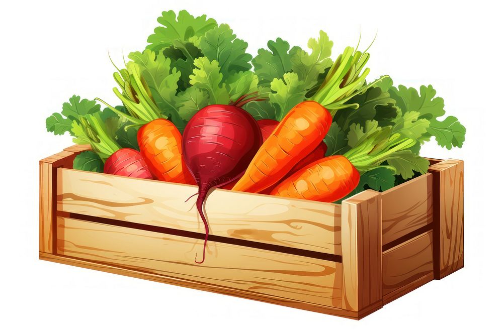 Fresh vegetables carrot box plant. AI generated Image by rawpixel.