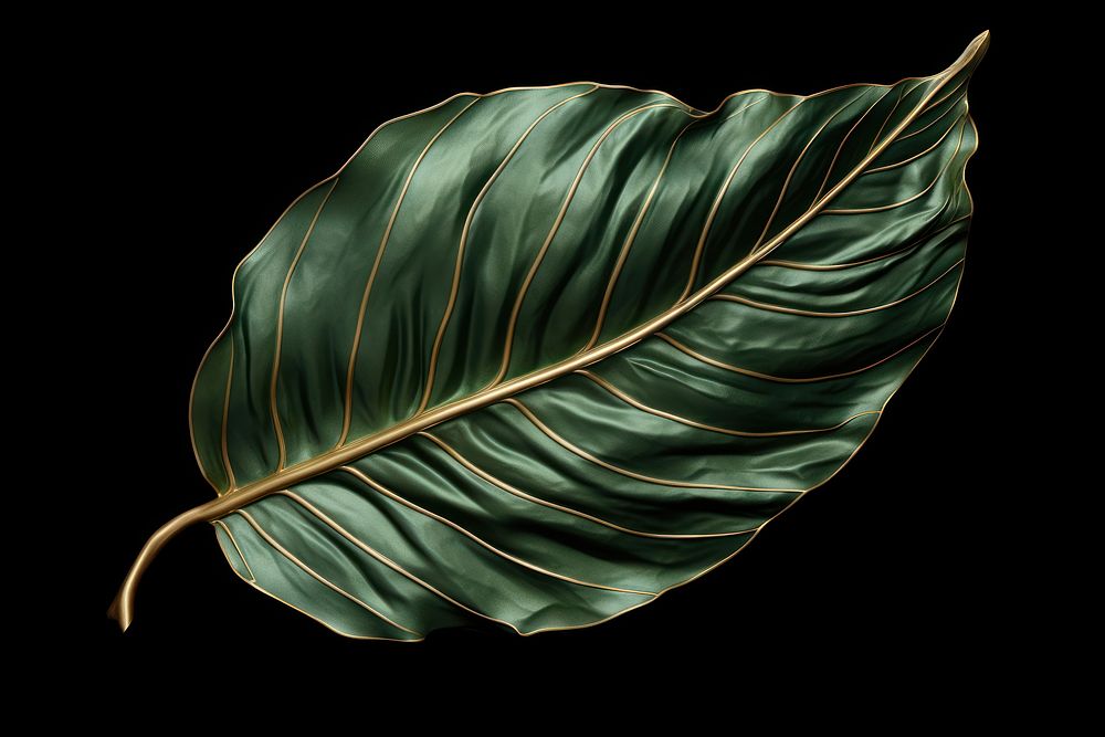 Illustration of a leaf plant tree annonaceae. AI generated Image by rawpixel.