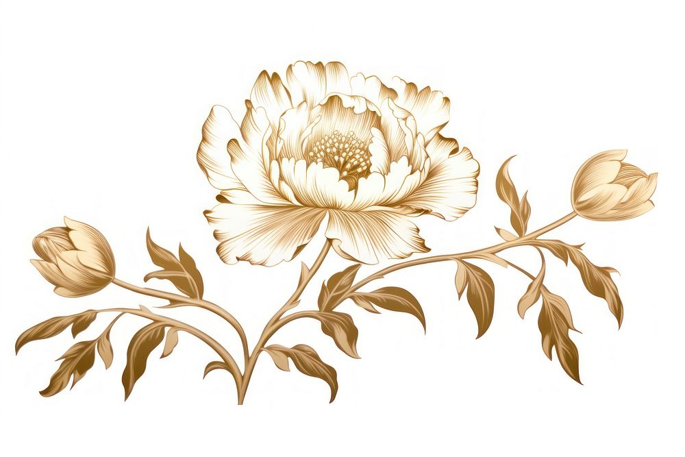 Peony flower pattern drawing. AI generated Image by rawpixel.