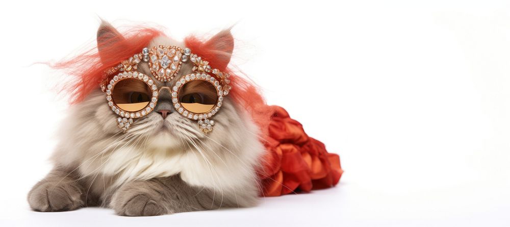Persian cat animal pet accessories. AI generated Image by rawpixel.
