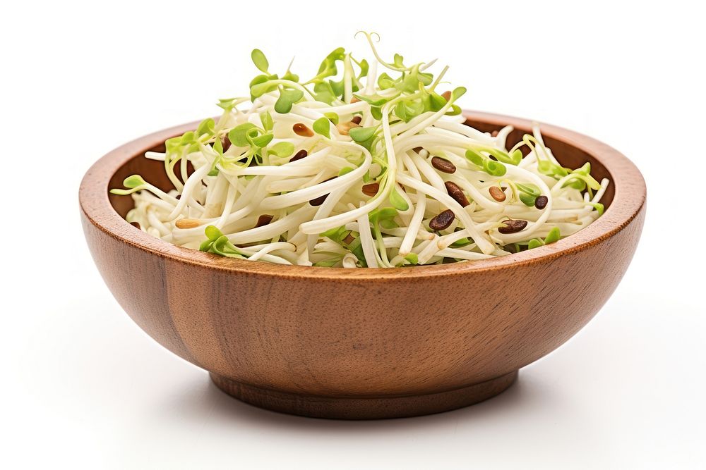 Bean sprout in a wooden bowl vegetable plant food. AI generated Image by rawpixel.