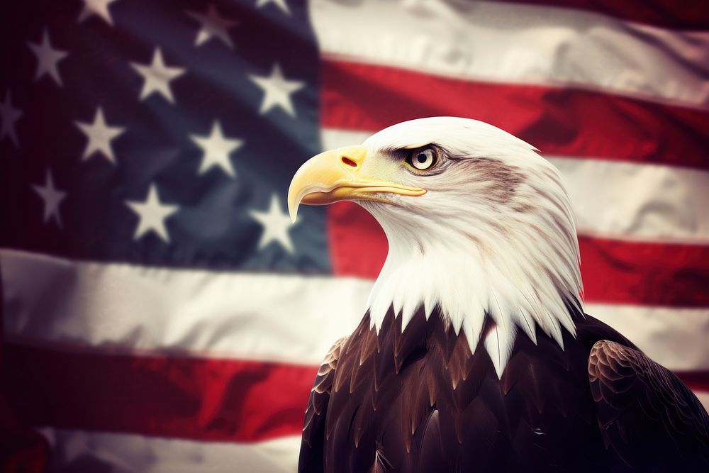 Eagle with usa flag bird beak independence. AI generated Image by rawpixel.
