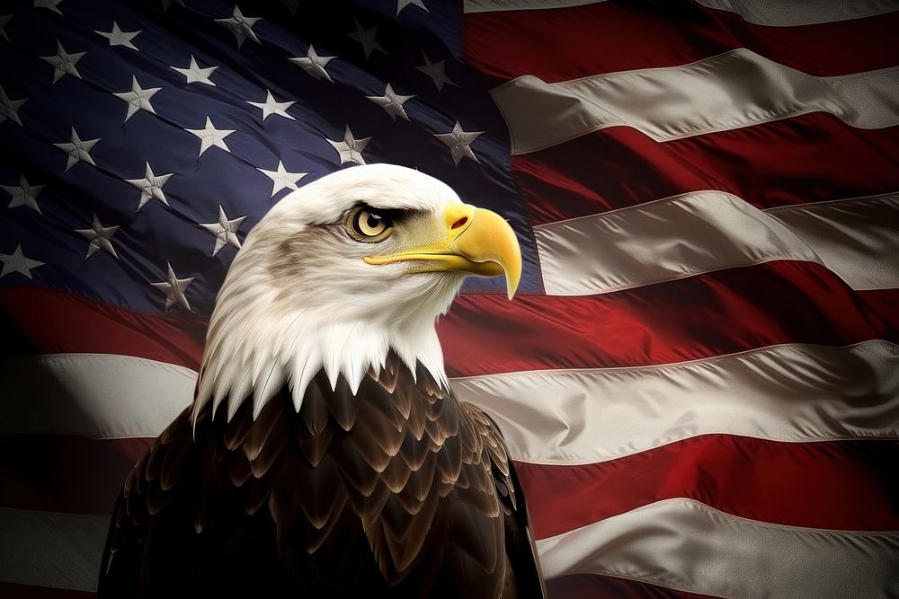 Eagle with usa flag bird beak independence. AI generated Image by rawpixel.