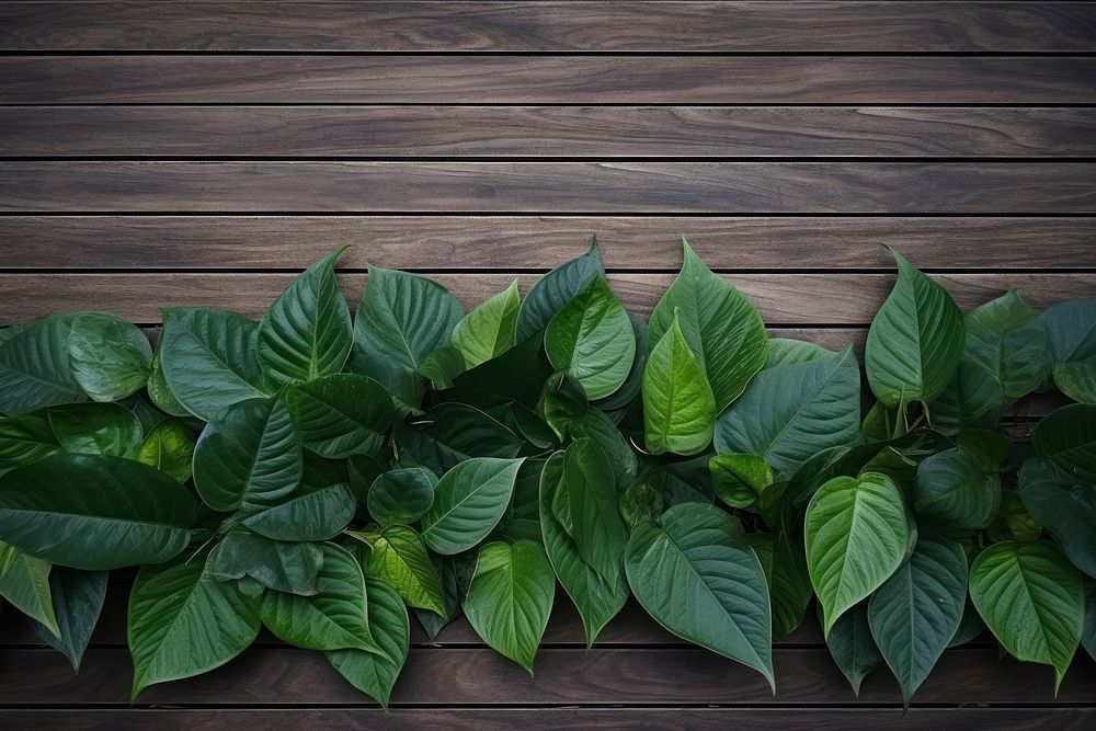 Tropical leaves backgrounds outdoors plant. AI generated Image by rawpixel.