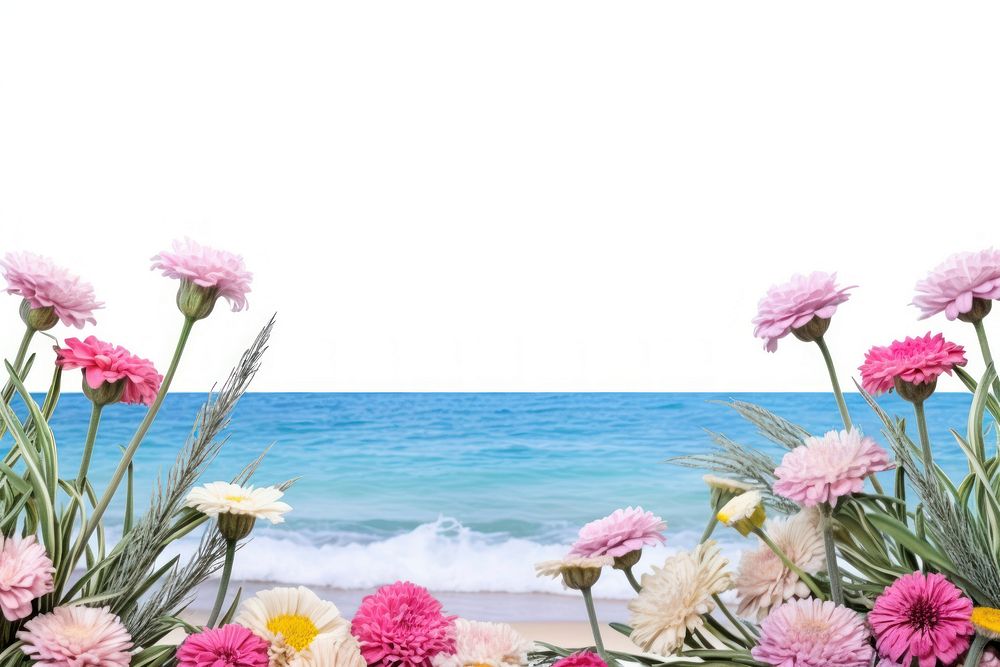 Calm ocean carnation outdoors horizon. AI generated Image by rawpixel.