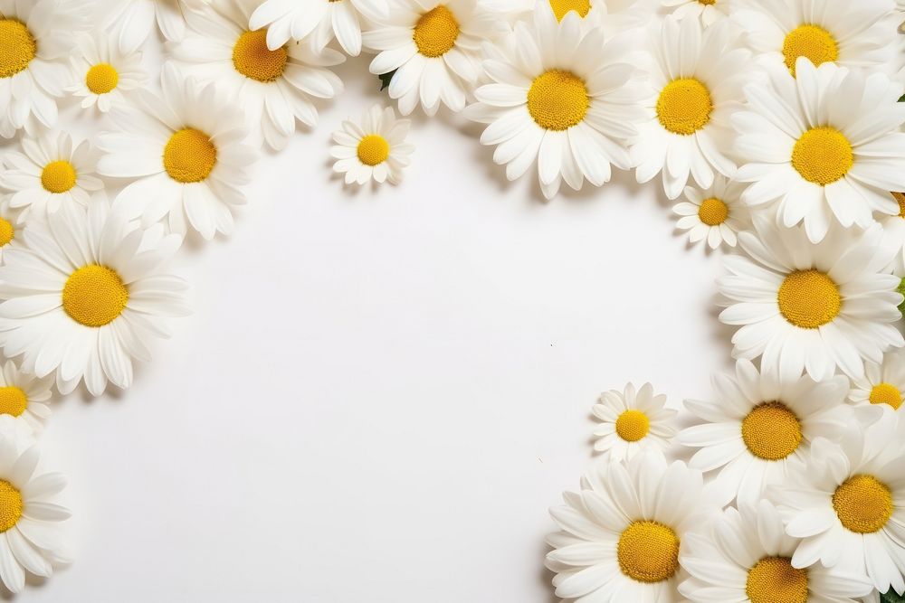 Daisy backgrounds flower petal. AI generated Image by rawpixel.