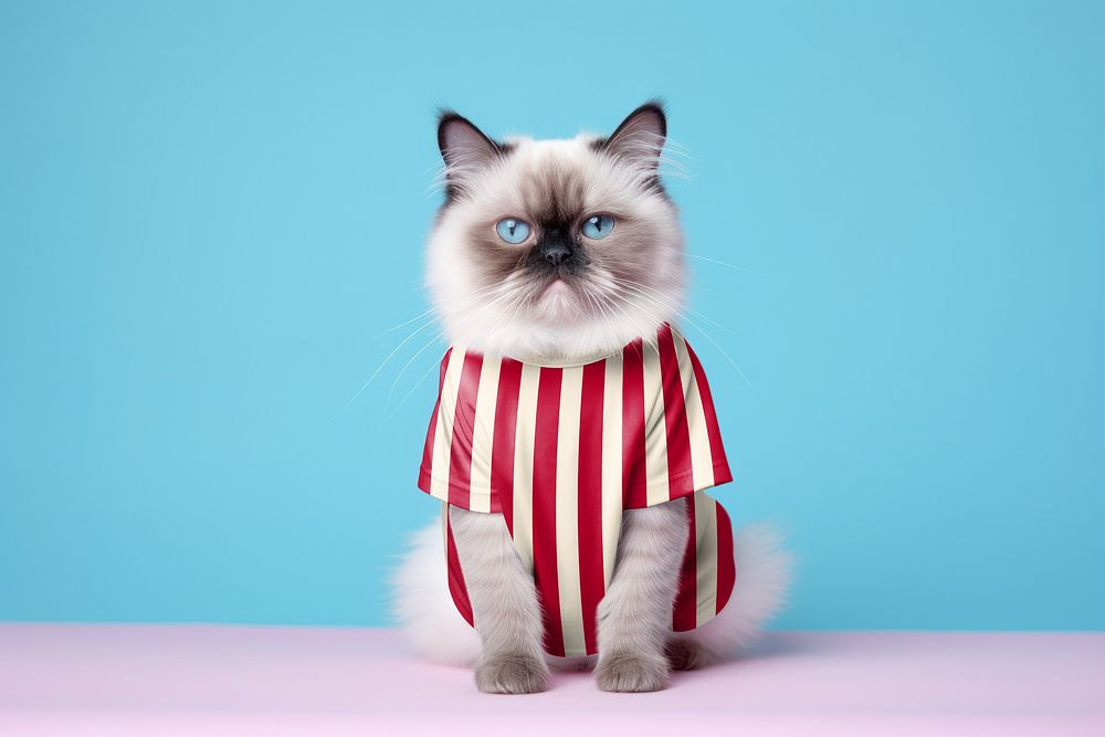 Cat's striped t-shirt, pet clothing