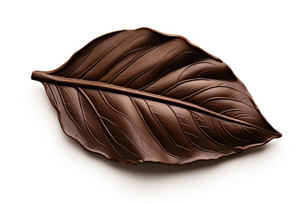 Leaf chocolate plant food. AI generated Image by rawpixel.