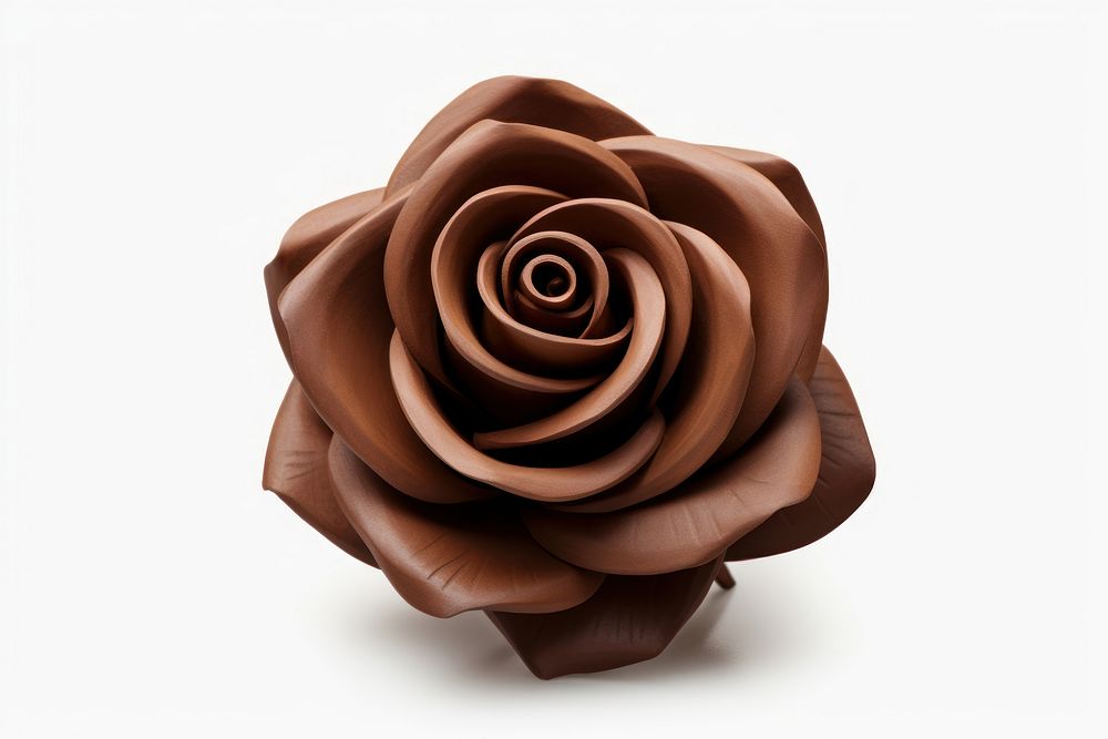 Rose flower chocolate plant white background. AI generated Image by rawpixel.