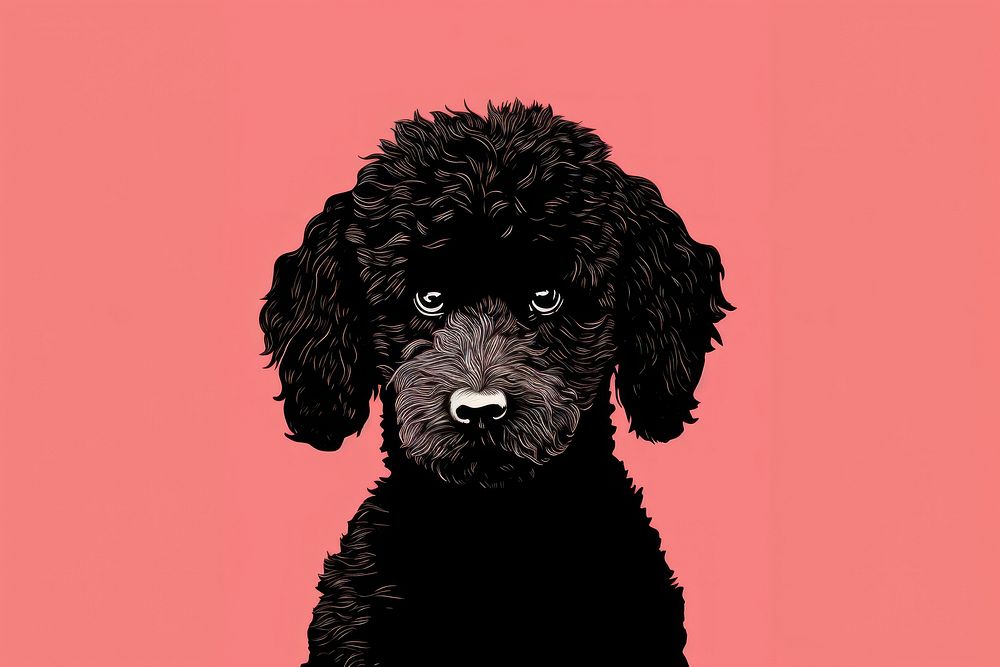 Black poodle dog animal mammal puppy. AI generated Image by rawpixel.