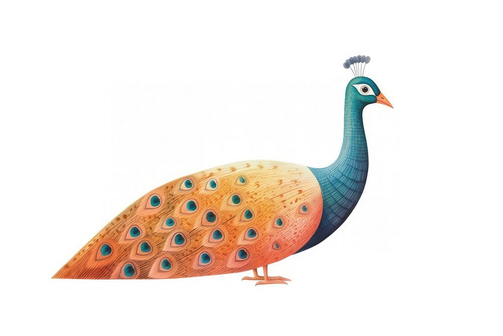 A peacock pheasant animal bird. AI generated Image by rawpixel.