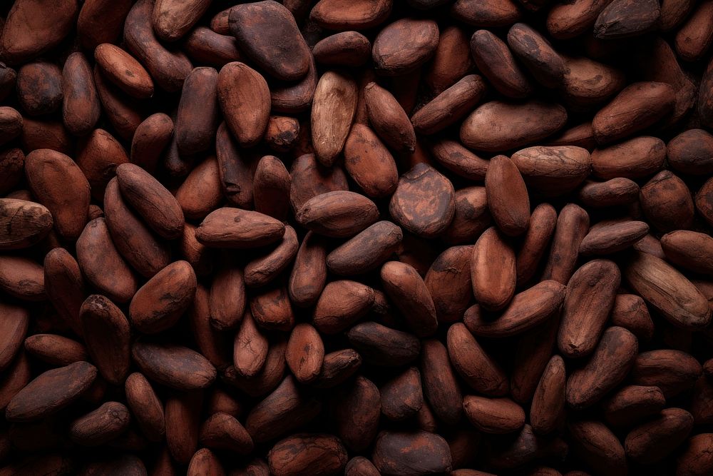 Cocoa beans dry stacked backgrounds food medication. AI generated Image by rawpixel.