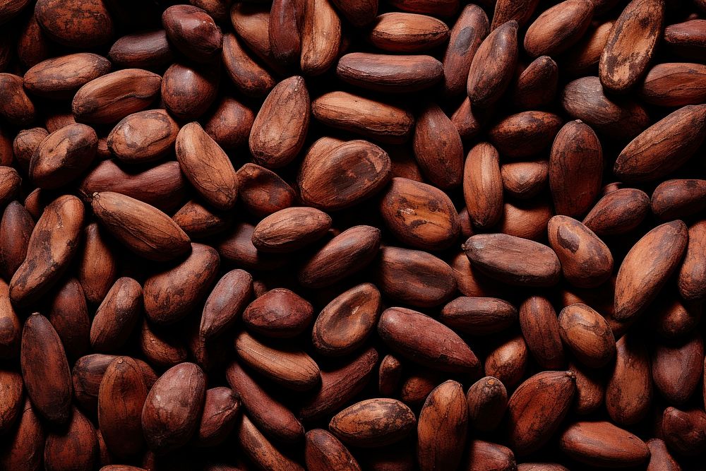 Cocoa beans dried backgrounds food medication. AI generated Image by rawpixel.