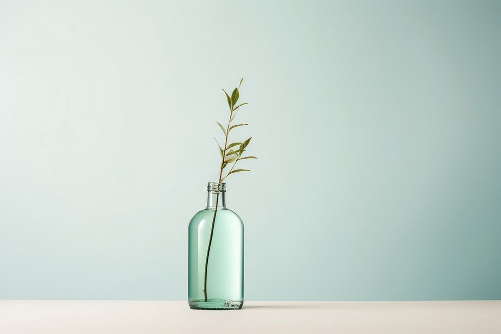 Bottle glass plant vase. AI generated Image by rawpixel.