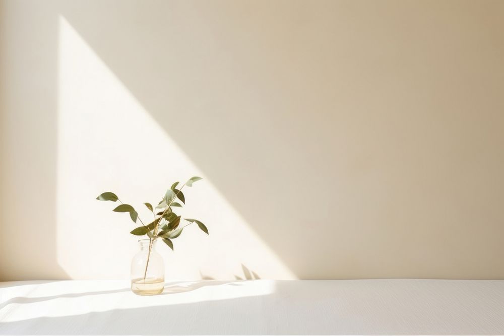 Dinning table windowsill light plant. AI generated Image by rawpixel.