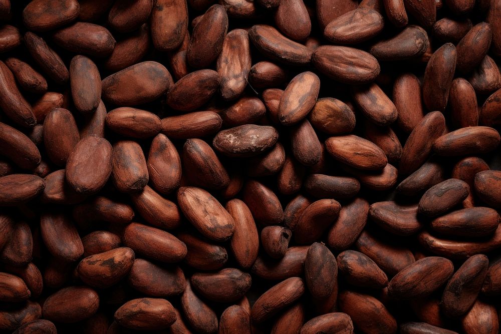 Raw cocoa beans during backgrounds food medication. AI generated Image by rawpixel.